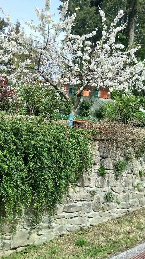 Casa Cecconi Villa Bivigliano