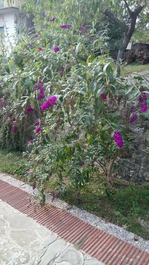 Casa Cecconi Villa Bivigliano Holiday home