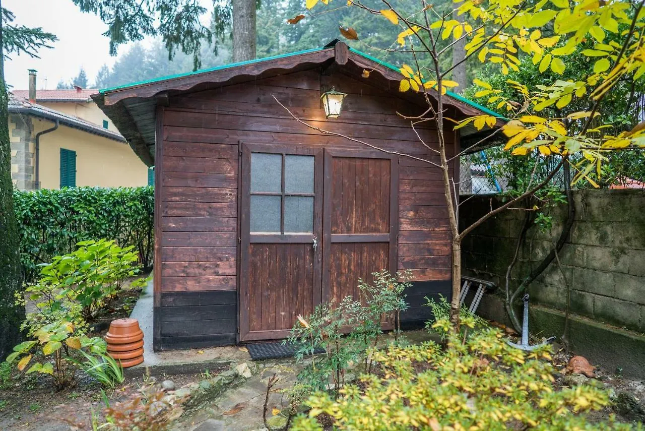 Bivigliano Casa Cecconiヴィラ イタリア